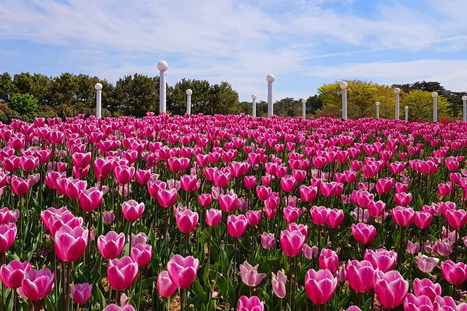 Taean Tulip Festival and Strawberry Picking Day Tour from Seoul - Strawberry picking at 해미읍성딸기와인: a hands-on hour with something to take home