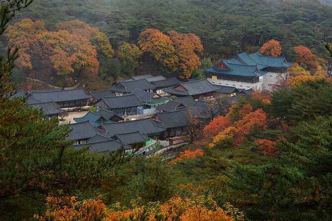 UNESCO Tongdosa Temple + Gourmet Eonyang Style Bulgogi Lunch - Who this tour is best for, and who should skip it