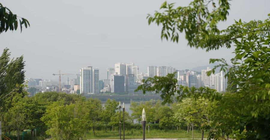 Unique Native Experience : Han River Picnic, Board game, BBQ - Key points to know before you go