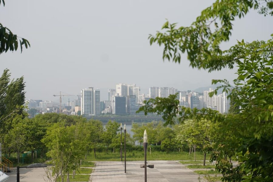 Unique Native Experience : Han River Picnic, Board game, BBQ - The Kimbab Picnic on the Han River: Easy Food, Easy Talking