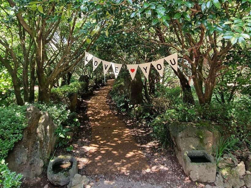 West & South Jeju: Hallasan Trail, Waterfall, Tea Field Tour - West and South Jeju in One Day: Why This Route Works