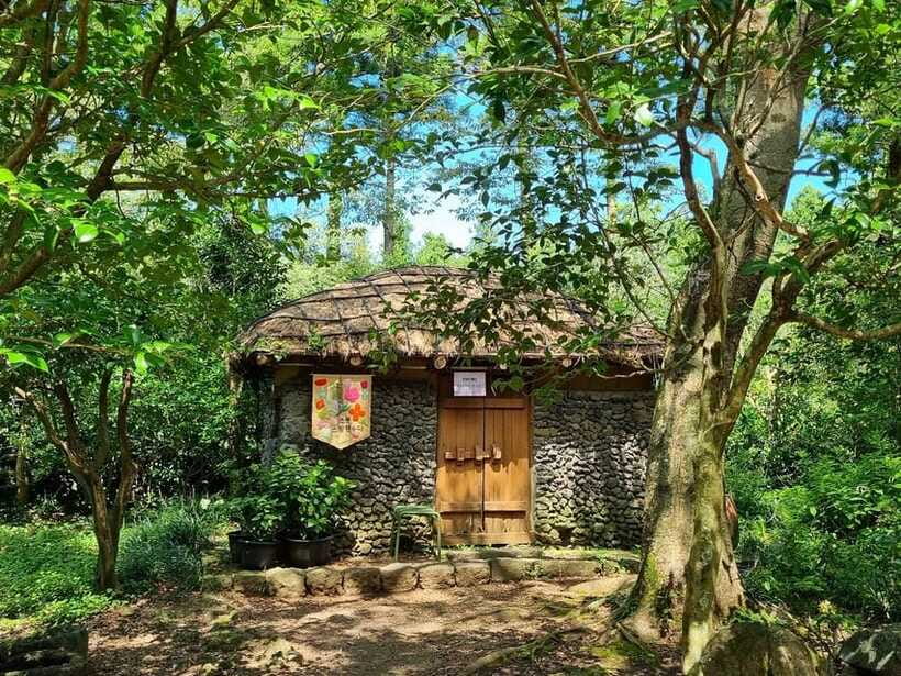 West & South Jeju: Hallasan Trail, Waterfall, Tea Field Tour - Price and What You Really Get for $51