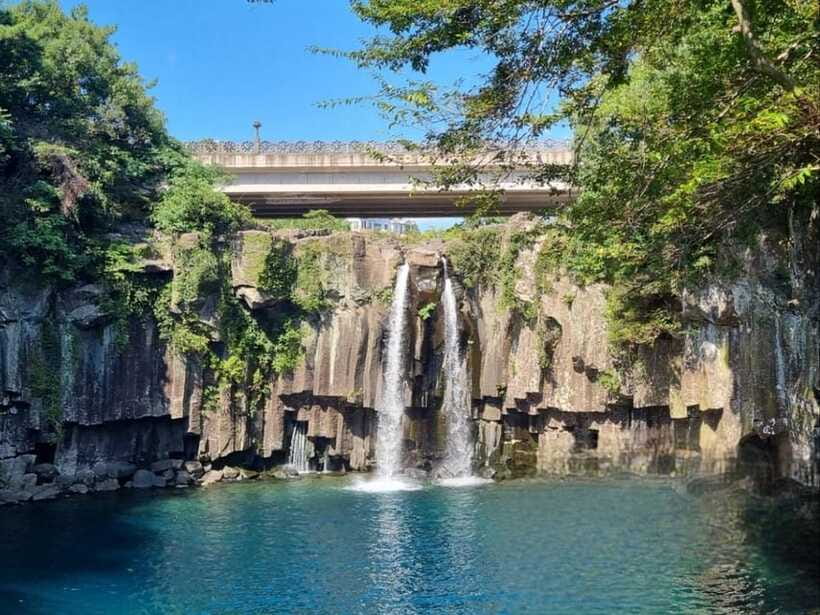 West & South Jeju: Hallasan Trail, Waterfall, Tea Field Tour - Drop-Off Choices in Jeju City: Keep Your Evening Flexible