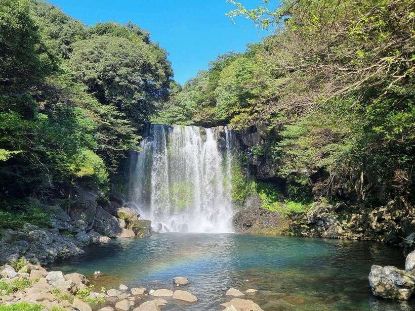 West & South Jeju: Hallasan Trail, Waterfall, Tea Field Tour - Pickup and the Morning Start: Getting to Hallasan Eorimok Trail