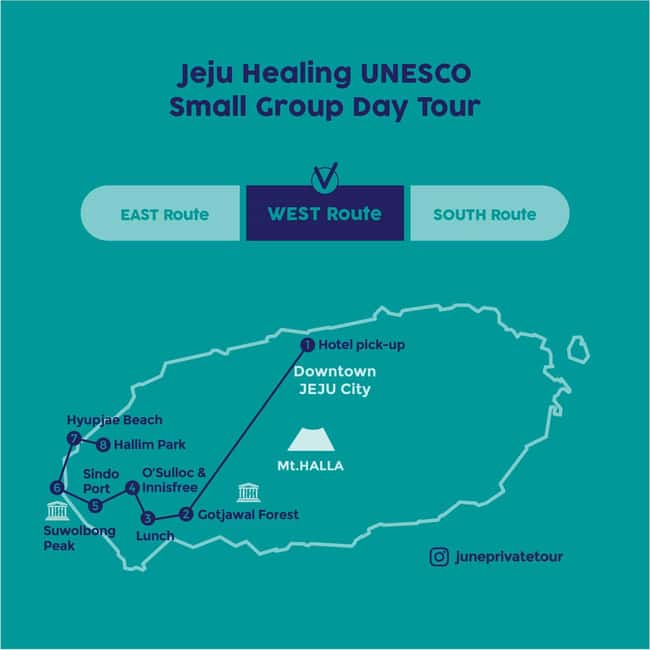 Western Jeju Healing UNESCO Small Group Day Tour - A healing day built around Jeju UNESCO sites