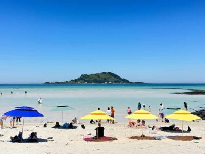 Western Jeju Healing UNESCO Small Group Day Tour