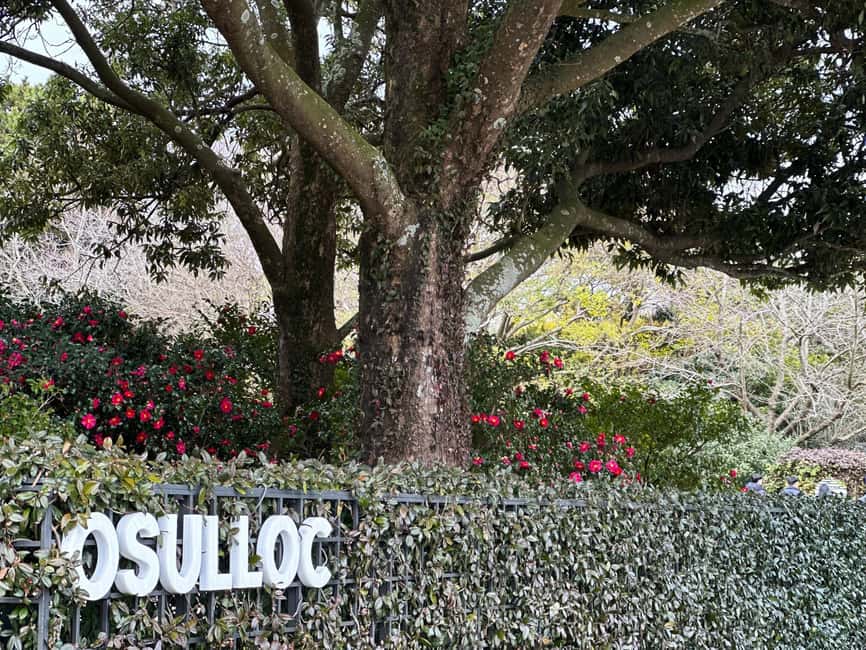 Western Jeju Healing UNESCO Small Group Day Tour - O’Sulloc Green Tea Museum for tea tastings and a palate reset