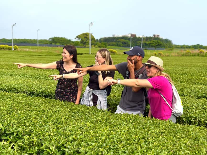 Western Jeju Healing UNESCO Small Group Day Tour - Hyeopjae Beach: a silver-white sand pause