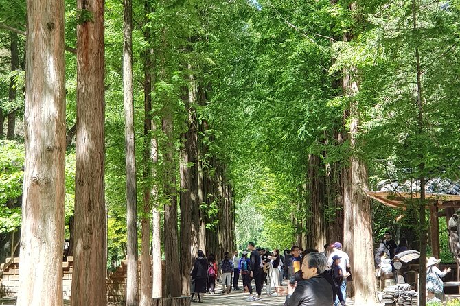 Winter Sonata TV Tour on Nami Island from Seoul - Getting out of Seoul: the early start and the traffic factor