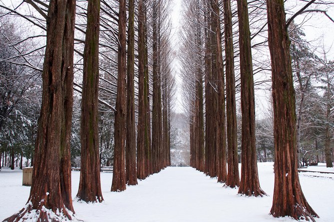 Winter Sonata TV Tour on Nami Island from Seoul - What you do between filming stops: the route rhythm on the island