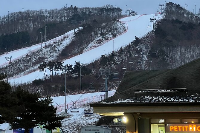 Yongpyong Ski Resort from Seoul with Optional Lesson and Packages - Quick Take: Is Yongpyong Worth a Day Trip?