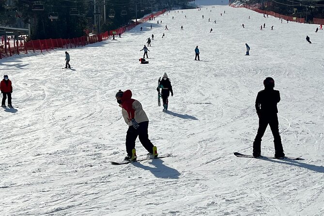 Yongpyong Ski Resort from Seoul with Optional Lesson and Packages - Mt Balwangsan Cable Car, Peak Views, and the Skywalk Add-On